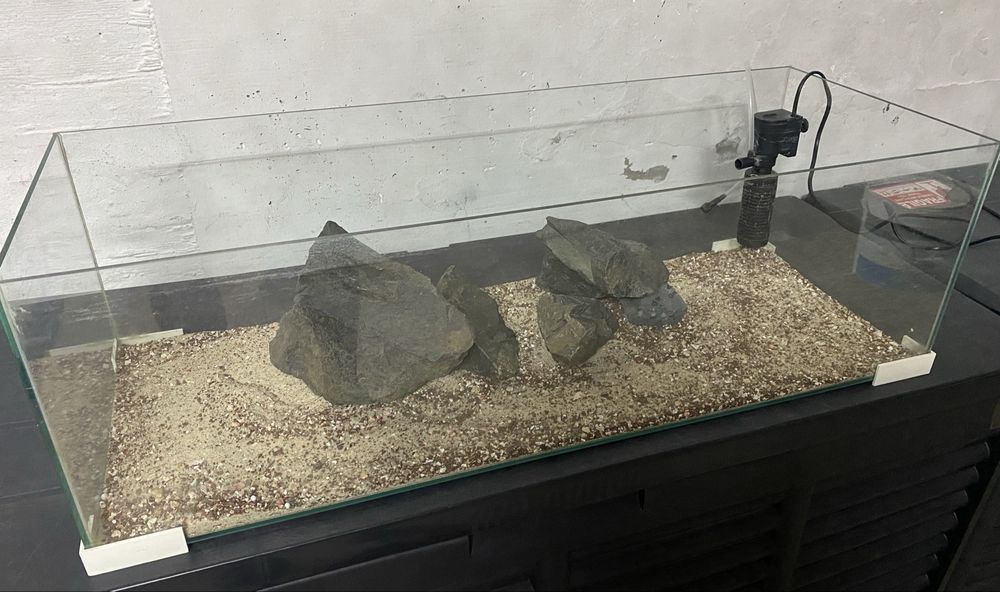 Aquario agua fria