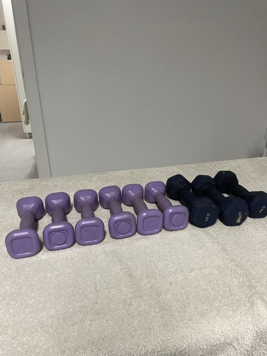 Training Dumbbells447146710774599680