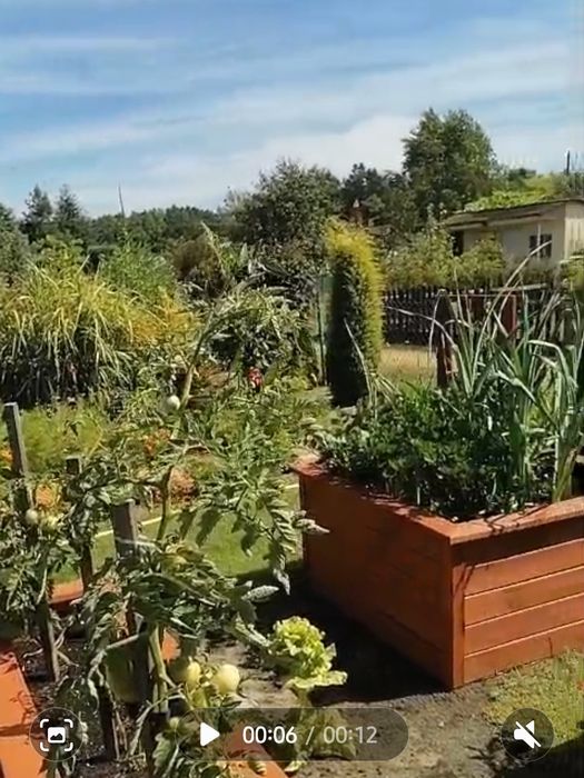 Dzialala rekreacyjna 6 arów