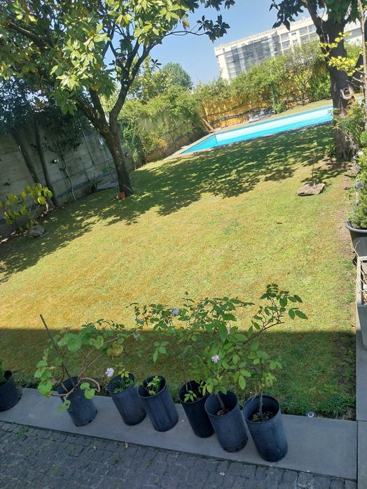 Limpeza de terrenos i jardins
