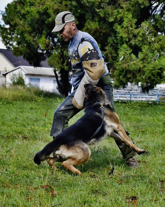 дресирувальний центр Wolf'sfelzem, кінолог, пансіон