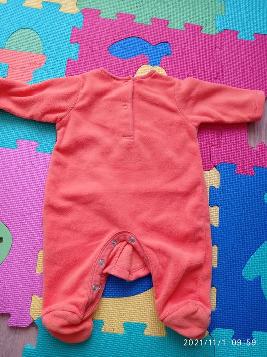 Bodziak polarowy dynia