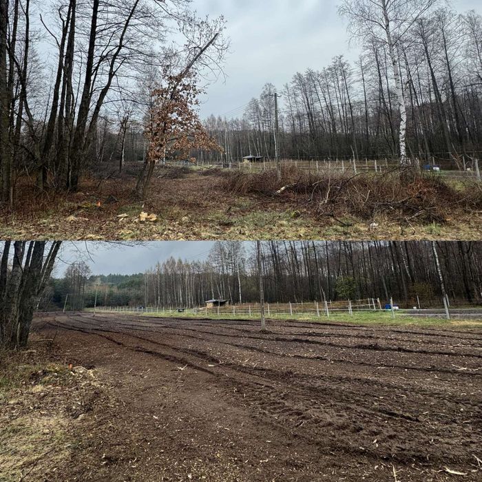Kopleksowa Wycinka Drzew