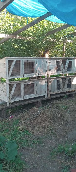 Клітка для кролів із маточником