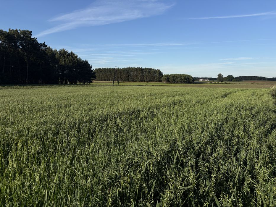 Sprzedam działki budowalne