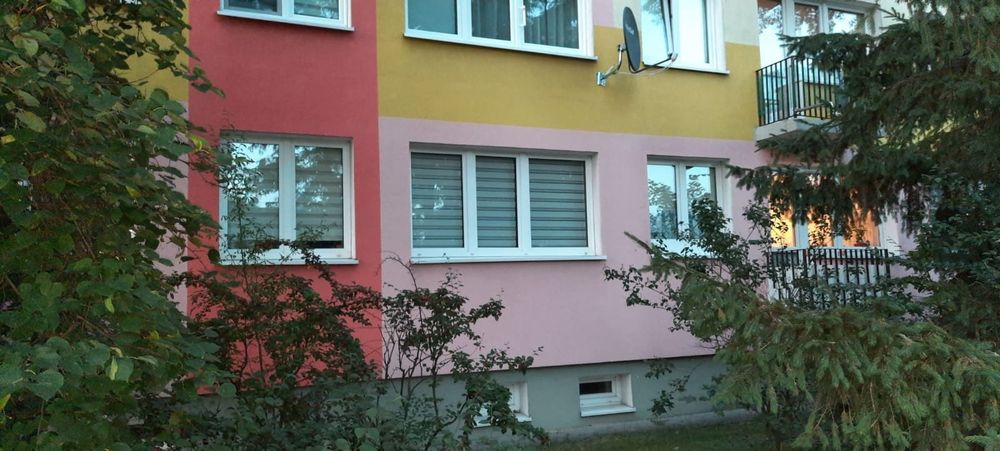 Zdjęcie 8