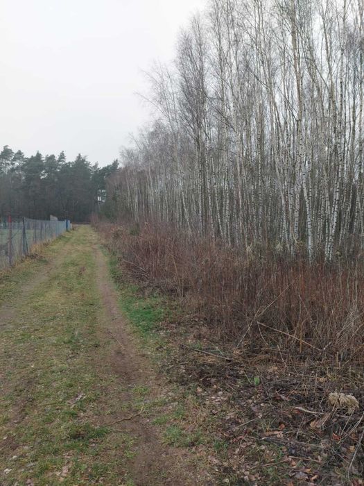 działka budowlana - Widok 2