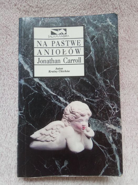 Na pastwę Aniołów Jonathan Carroll wyd. Salamandra