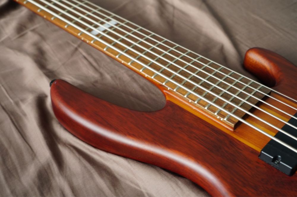 Esp ltd D-6 steunowa gitaea basowa