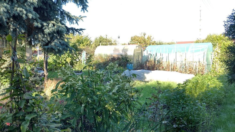 Sprzedam działkę ROD 5ar z duszą i historią