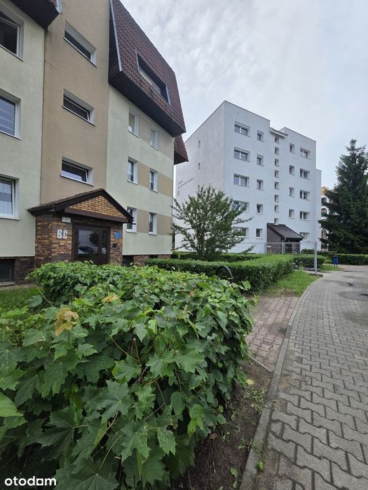 Przestronne/3 pok/oddzielna kuchnia/duży balkon w stylu tarasu/piwnica