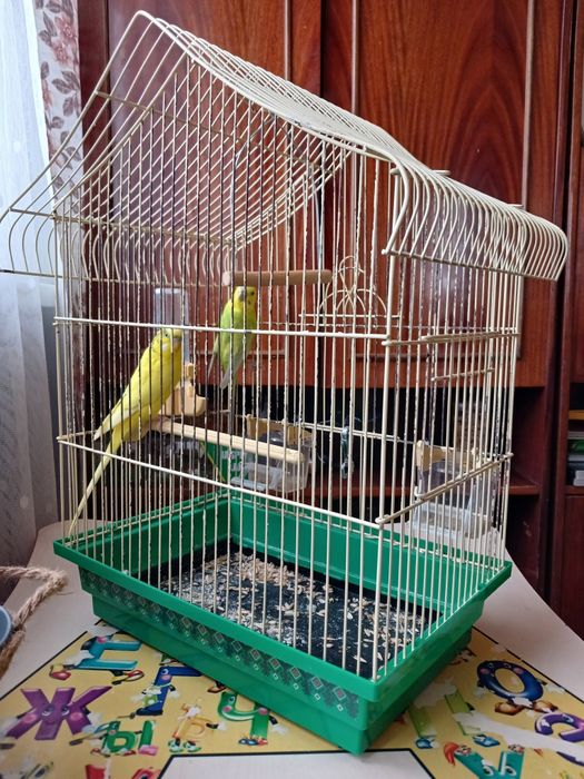 Клітка для папуги