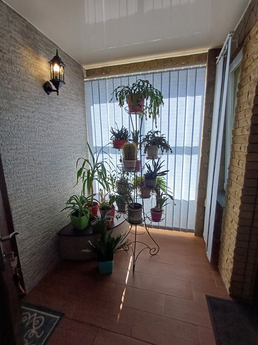 Продам будинок в Левкові