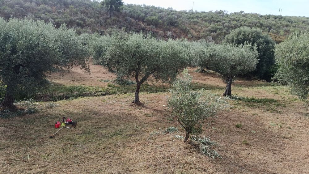 Limpezas de terrenos e caminhos aldeias etc