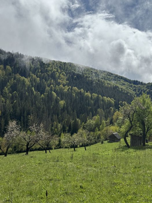 Ділянка в Карпатах, Микуличин земля біля потічка, біля заповідника ,