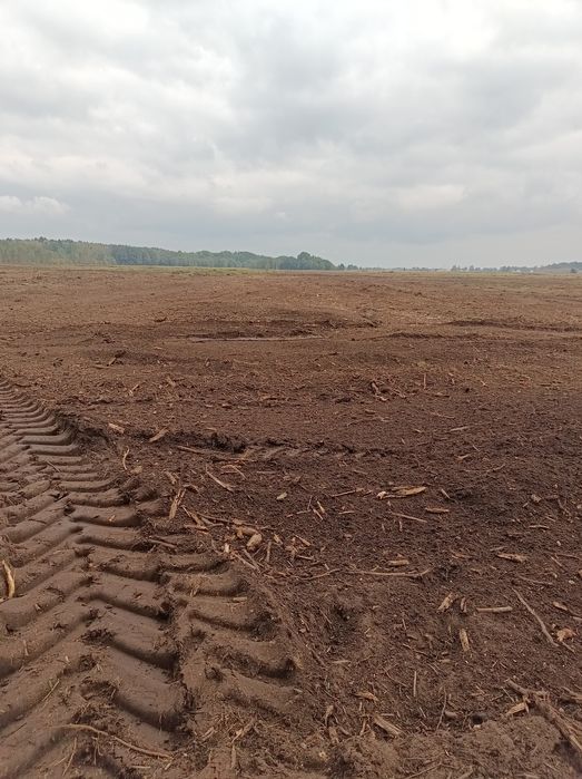 Mulczowanie karczowanie czyszczenie działek