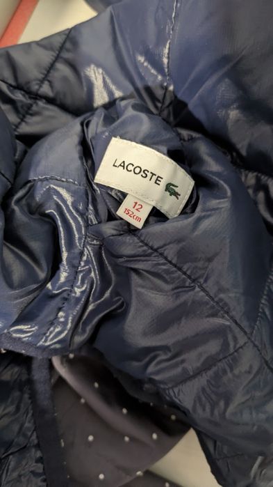 Casaco reversível Lacoste 12 anos