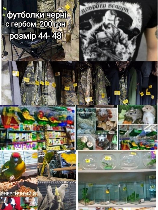 пацюки 4 міс лисі скіні гіпоалергенний криска