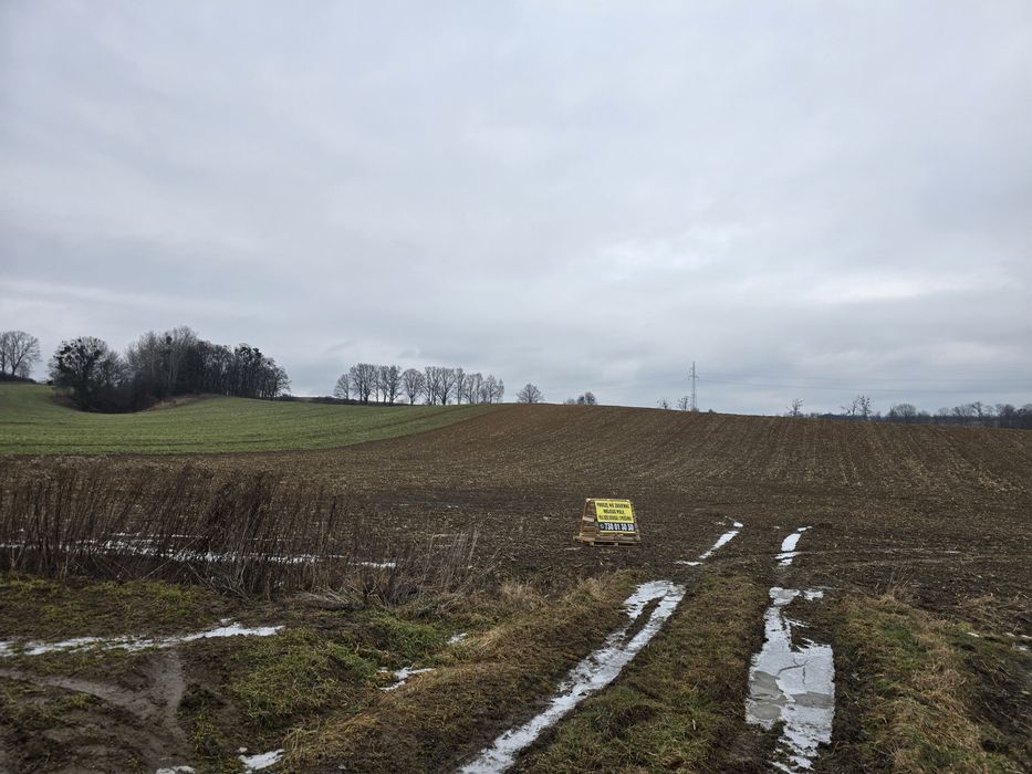 Grunt rolny 1,75 ha – Piotrkowiczki | blisko Wrocławia | S5