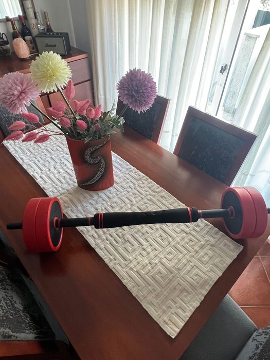 Barra 2x1 para exercicios em casa 20kg