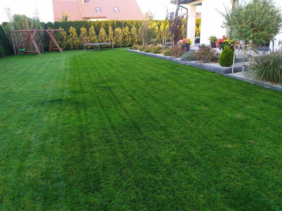 trawnik siatka na krety ogród od podstaw