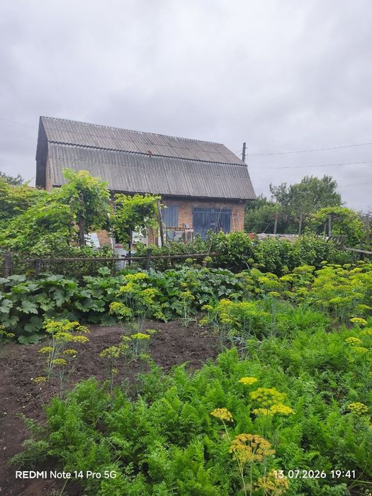 Фото ділянки