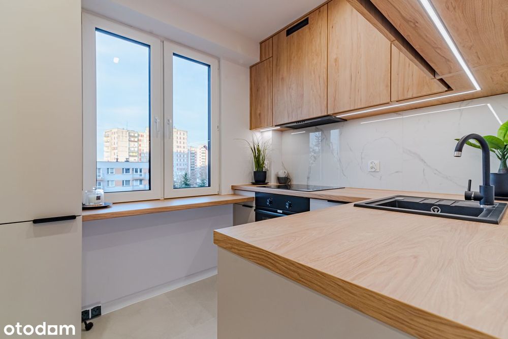 2 pokoje po remoncie WINDA / BALKON / OSOBNA KUCHNIA - Widok 5