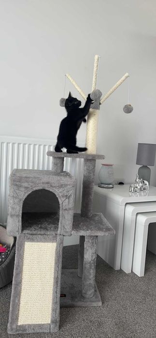 Drapak wysoki dla kota domek drzewko do drapania legowisko