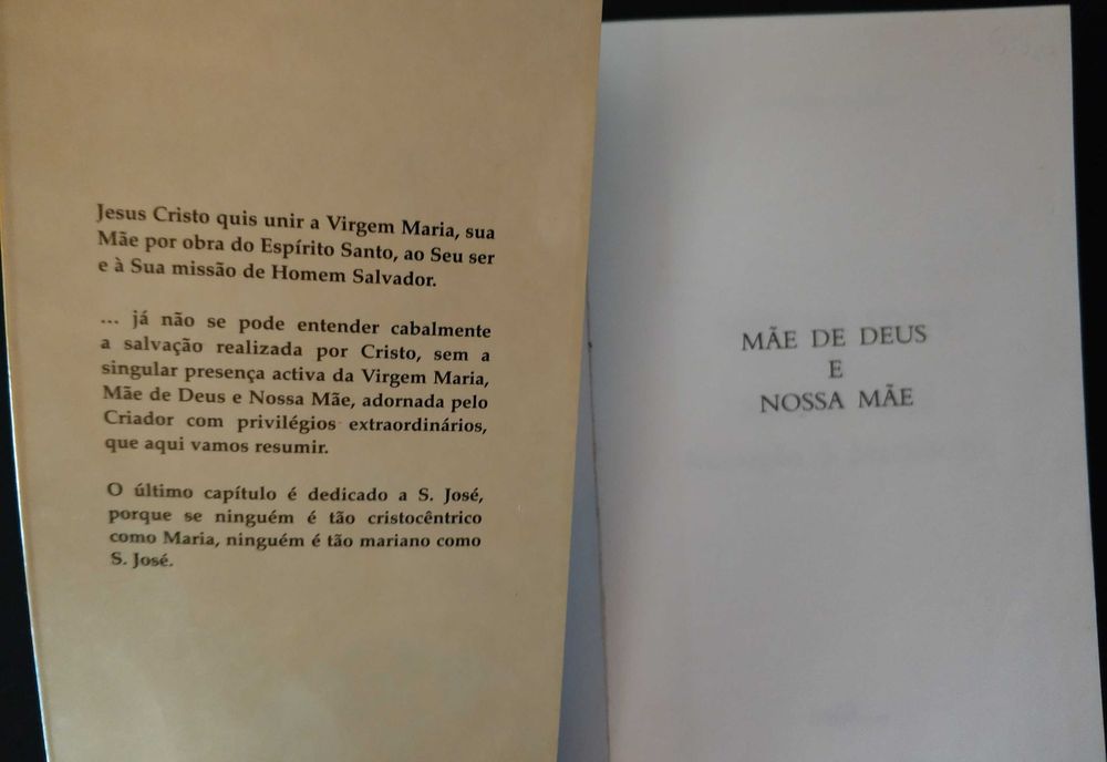 Mãe de Deus e a nossa Mãe. Iniciação Mariológica