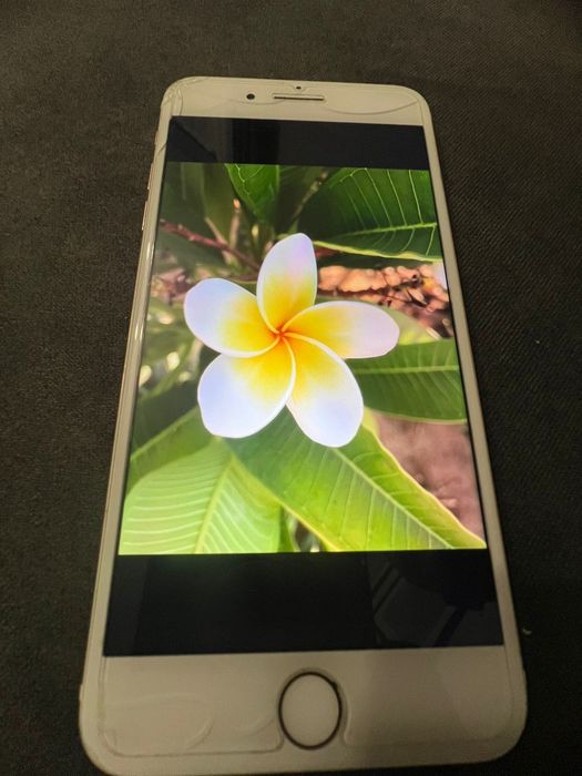 Smartfon APPLE iPhone 7 Plus 32GB 5.5" Złoty