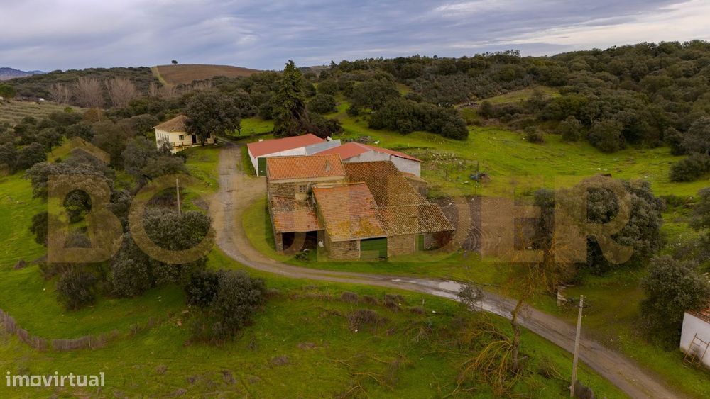 Quinta do Arieiro - Cedovim | Vila Nova de Foz Côa | Douro Superior