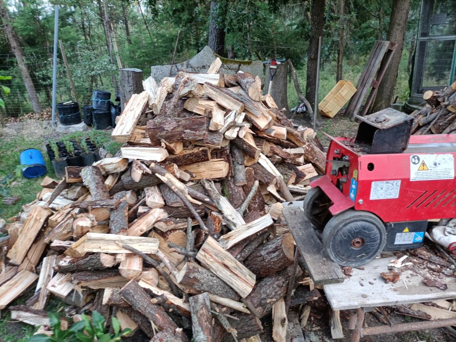 Lenha mistura pinho e acácia e eucalipto