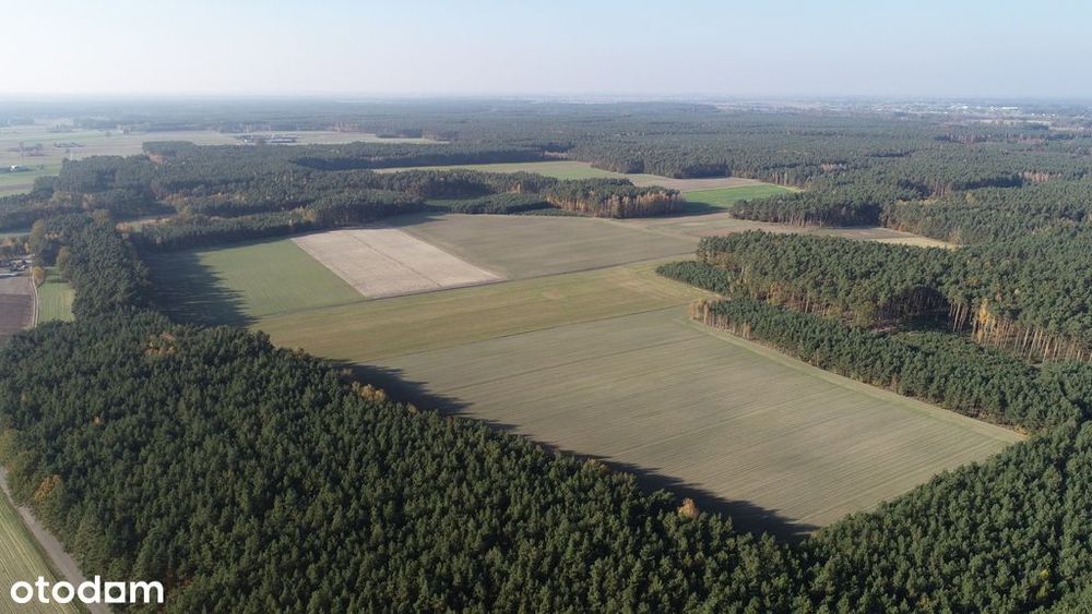 Idealna inwestycja - 60 działek budowlanych!