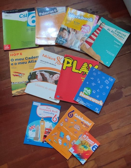 Manuais escolares para 5/6/7/8/9 ano