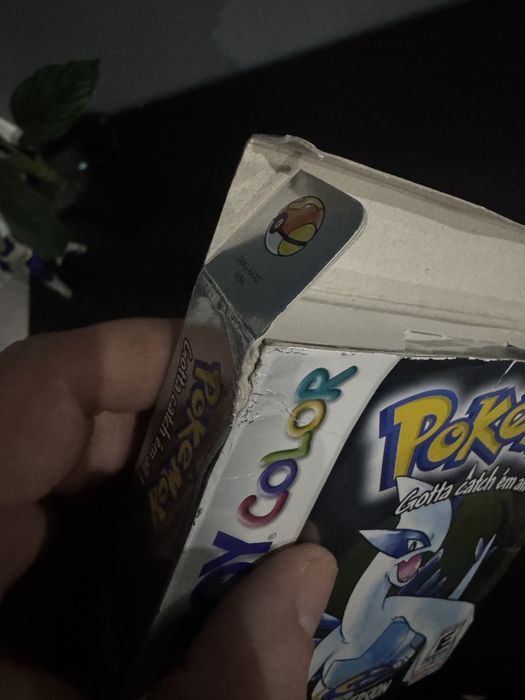 Pokémon Silver gameboy color