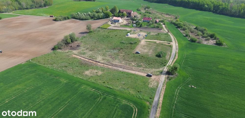 Działka na Mazurach niedaleko jeziora - Pieczarki - Widok 4