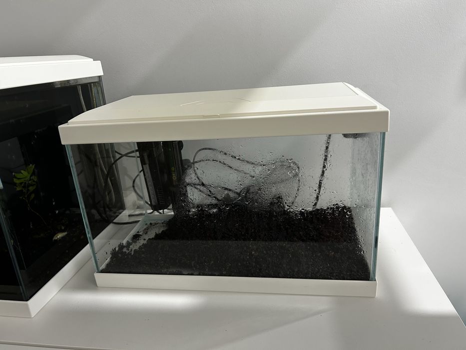 Aquário Aqua 20C com filtro, termostato e Led
