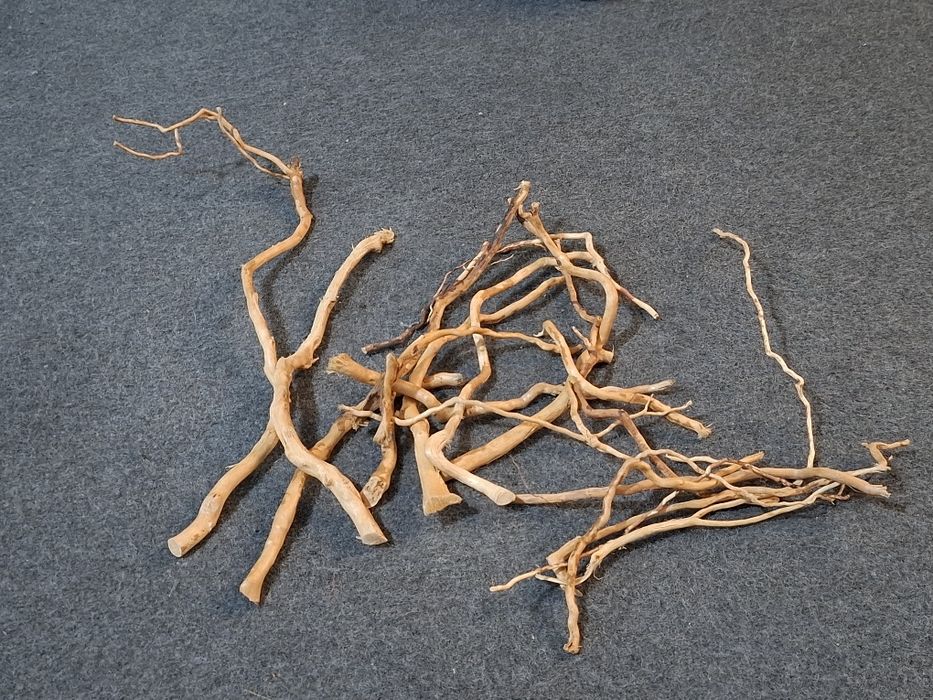 Tronco para aquário plantado - Novo 9 €