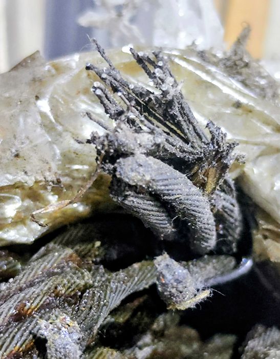 Трос канат строп стальной многожильный