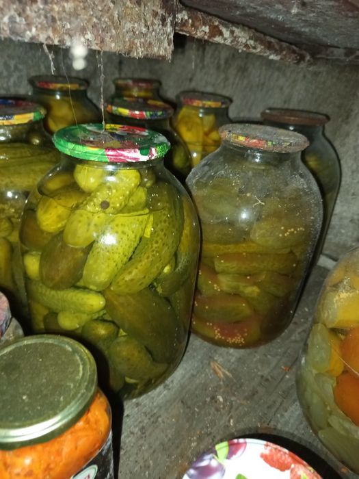 Домашняя консервация