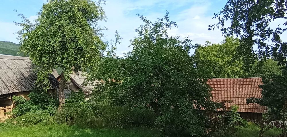 Ціну змінено. Продаємо будинок село Солочин з чудовим видом на К
