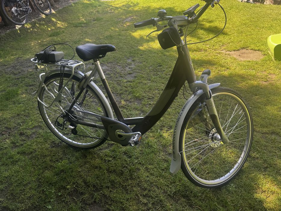 Rower elektryczny Sparta Betavus ion GL