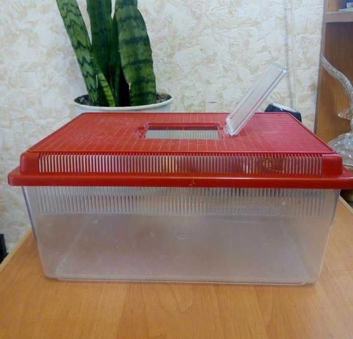 Продам терраріум пластиковий для равликів та ін