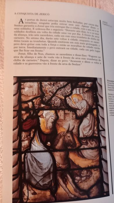Biblia em vitrais.