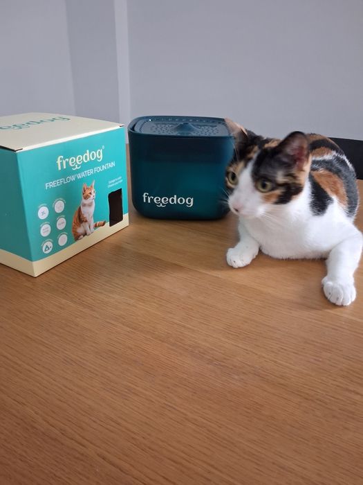 Fonte de água para gatos