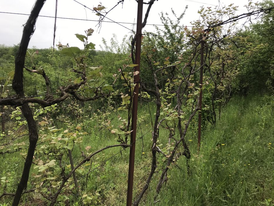 Ділянка з будинком