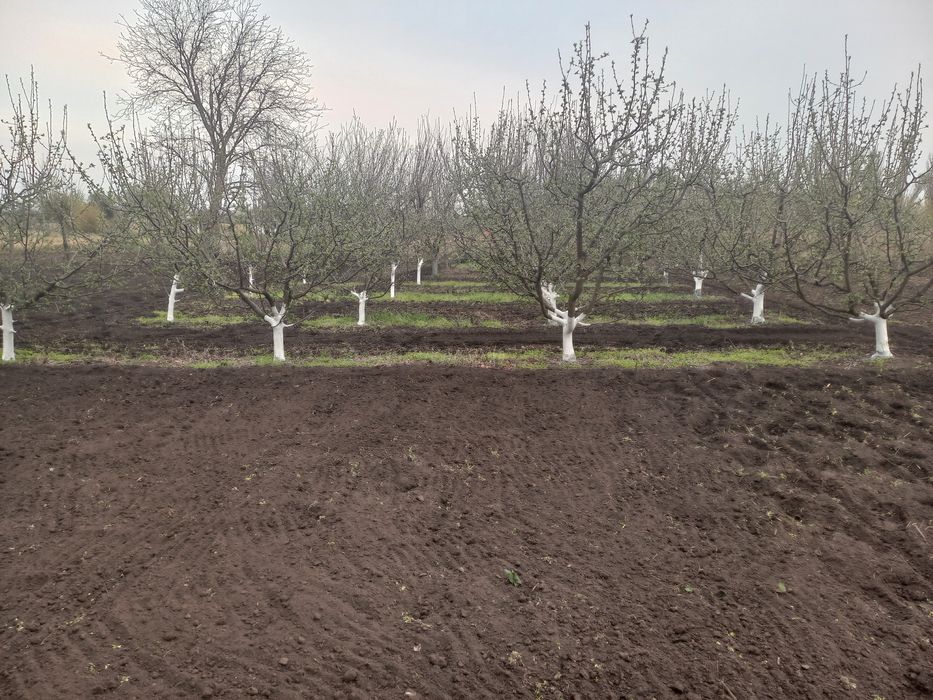 Приватний будинок