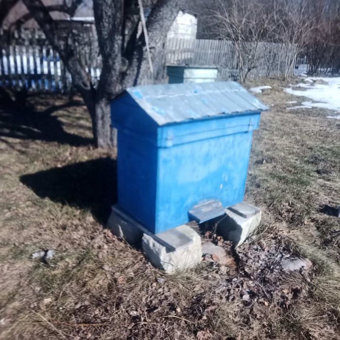 Вулики українка з рамками