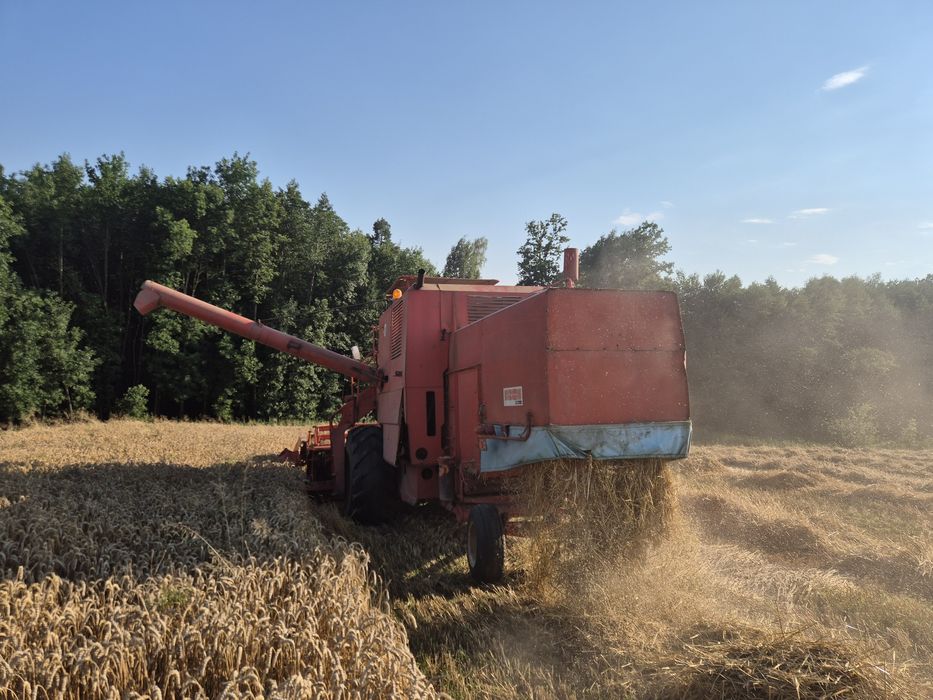 Sprzedam bizona super zo56