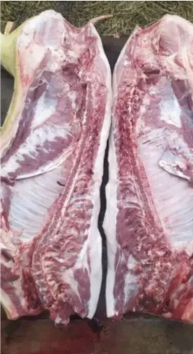 Свиньи  Живим весом та разрубкой